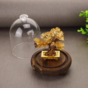 FENG SHUI 24k