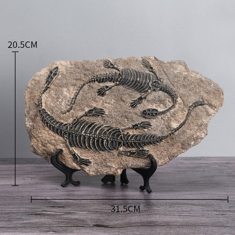 ESCULTURA JURASSIC FOSSIL